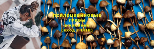 PSILOCYBIN Володарск