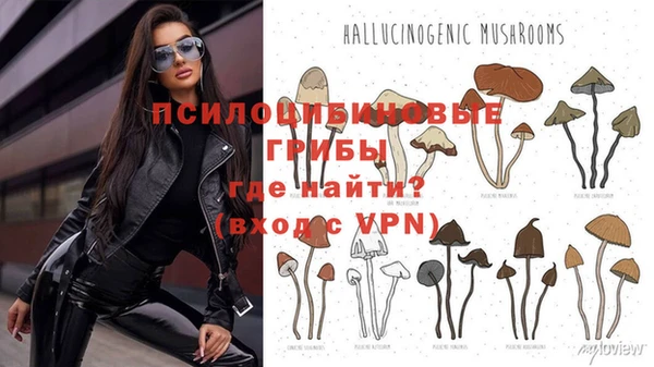 тгк Липки