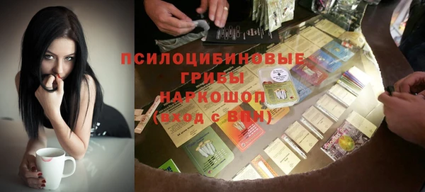 ПСИЛОЦИБИНОВЫЕ ГРИБЫ Ладушкин