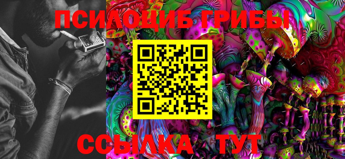 Галлюциногенные грибы MAGIC MUSHROOMS Кумертау