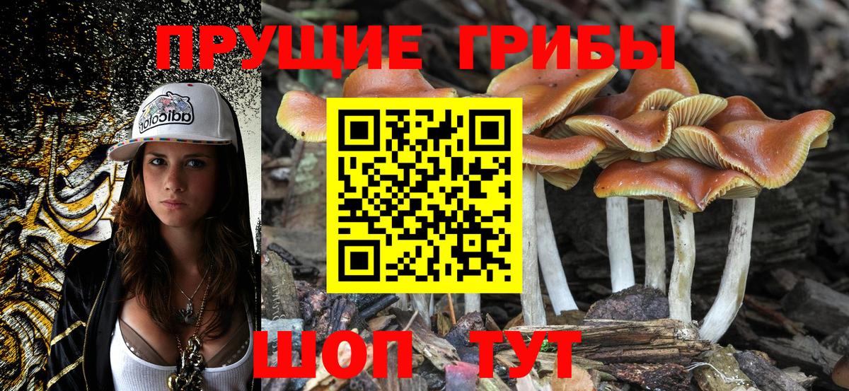Галлюциногенные грибы мицелий  Вход с VPN  Кумертау  Псилоцибиновые грибы ЛСД 